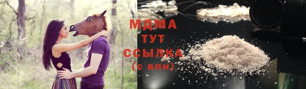 спайс Корсаков