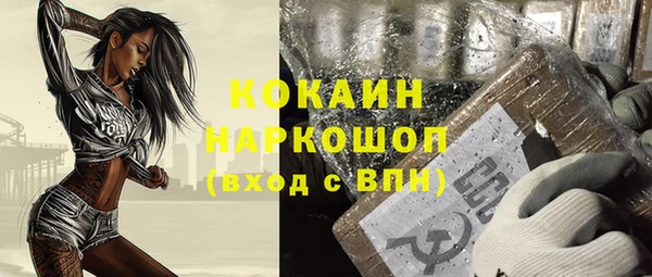 сатива Рославль