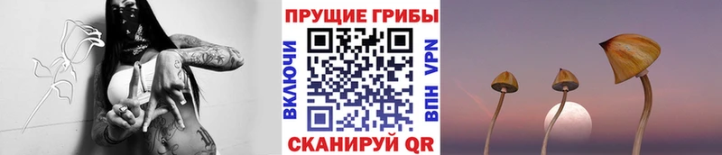 Галлюциногенные грибы Magic Shrooms  KRAKEN вход  Бикин 