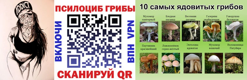 Псилоцибиновые грибы мицелий Бикин
